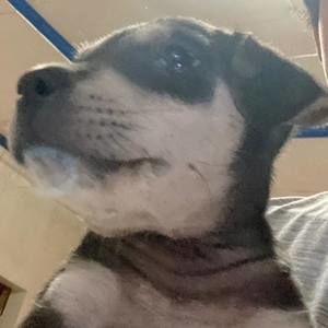 Meet your Posher, Erick